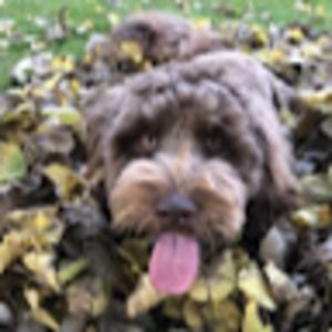 Meet your Posher, Virginia